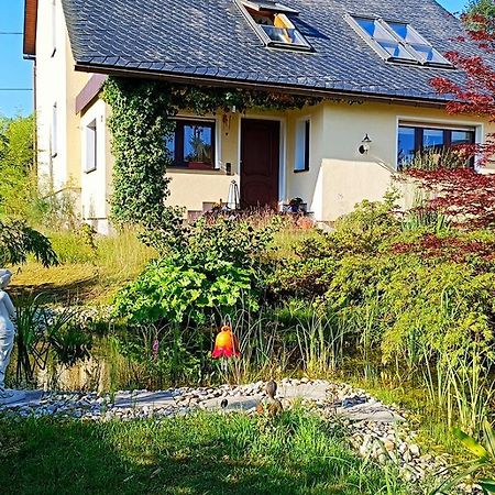 Ferienhaus "Am Waldsaum" Apartment Kurort Gohrisch Exterior photo